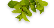 branch-and-leafs